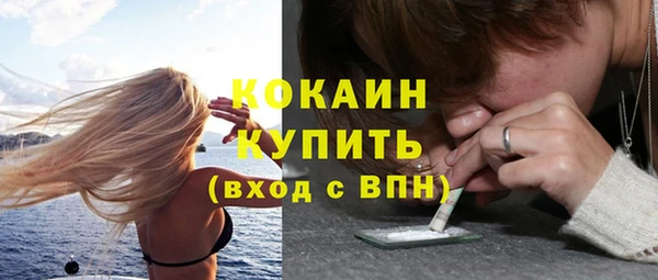 ПСИЛОЦИБИНОВЫЕ ГРИБЫ Новозыбков