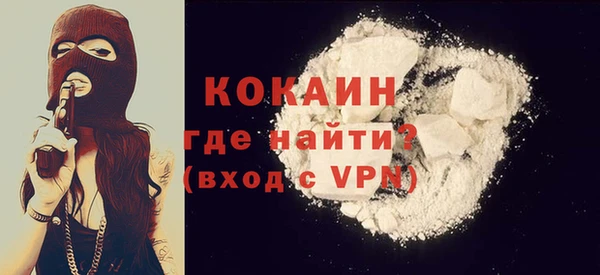 ПСИЛОЦИБИНОВЫЕ ГРИБЫ Новозыбков