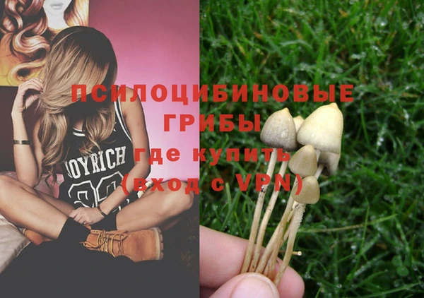 тгк Новокубанск
