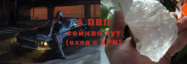 PSILOCYBIN Новодвинск
