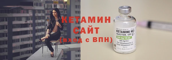 ПСИЛОЦИБИНОВЫЕ ГРИБЫ Новозыбков