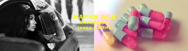ПСИЛОЦИБИНОВЫЕ ГРИБЫ Новозыбков