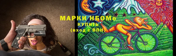 ПСИЛОЦИБИНОВЫЕ ГРИБЫ Новозыбков