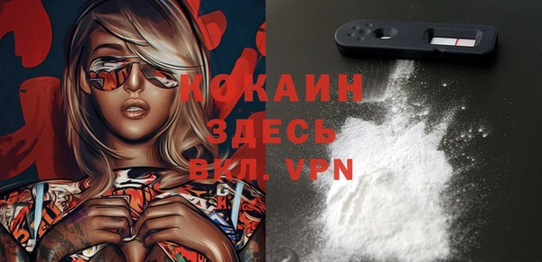 PSILOCYBIN Новодвинск