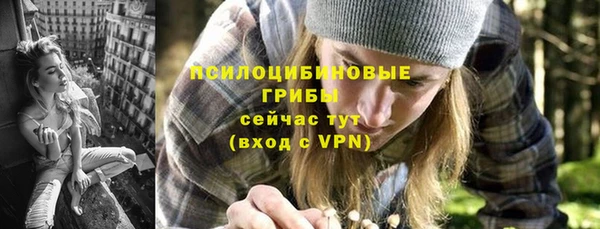 амф Тында