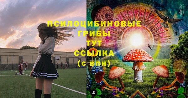 mix Горняк