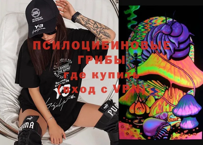 Псилоцибиновые грибы Cubensis  Зеленокумск 