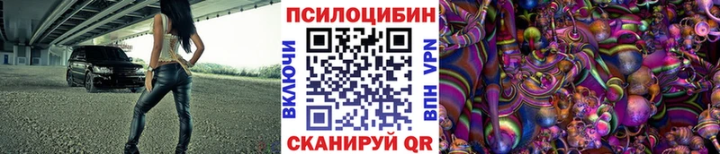 закладки  Зеленокумск  omg tor  Псилоцибиновые грибы Psilocybe 