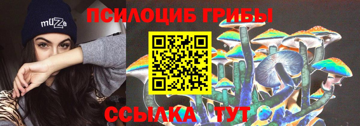 Галлюциногенные грибы MAGIC MUSHROOMS  Псилоцибиновые грибы прущие грибы  Зеленокумск 