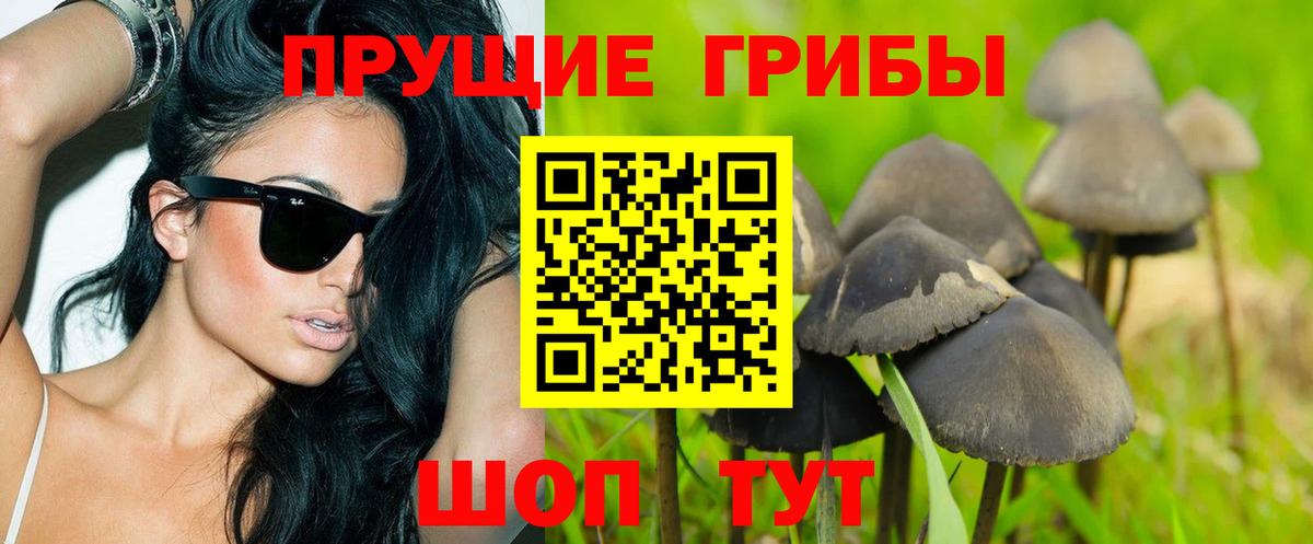 Псилоцибиновые грибы мицелий Зеленокумск