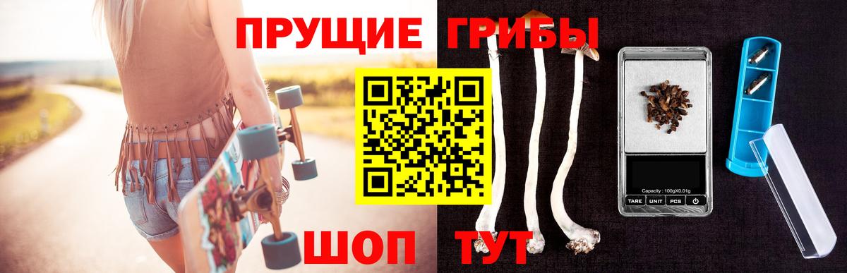 Галлюциногенные грибы Cubensis Зеленокумск